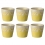 Costa Nova Gres Espressokopper 10 cl 6 Stk Gul