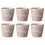Costa Nova Gres Espressokopper 10 cl 6 Stk Rosa