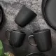 Aida RAW Kop 20 cl 6 Stk Titanium Black