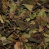 China Pai Mu Tan Std. 6901 Hvid Te 1kg